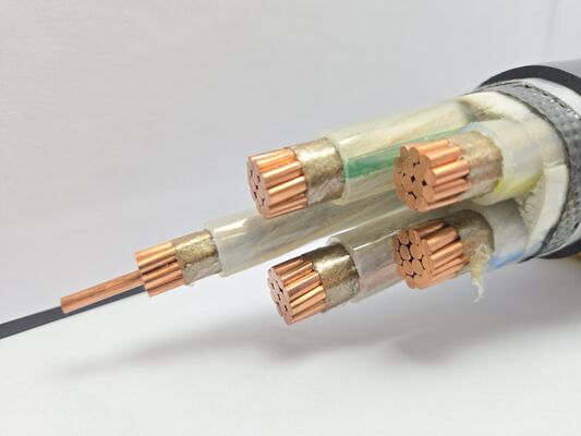 주문 N2XB2Y 0.6/1kV 전력 케이블 (이중 강대 아머(DSTA) 및 90°C 작업 온도, 산업용) 온라인 제품