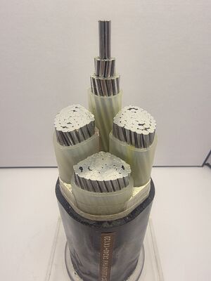 kaufen NA2XY 0,6/1 kV Aluminiumleiter XLPE-isoliertes PVC-ummanteltes Stromkabel – VDE/IEC-Standard Online-Herstellung